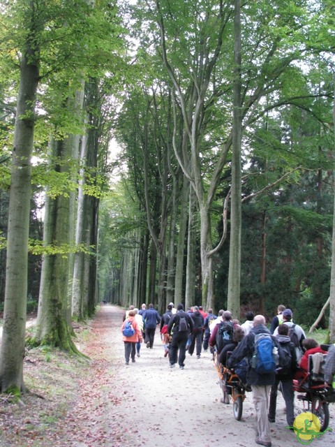 randonnée sportive avec joëlettes, Tervuren, 2012